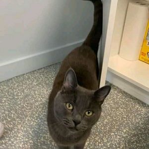 Meet your Posher, Sam